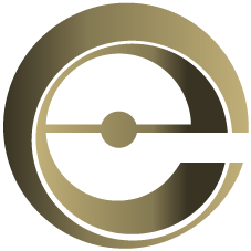 The Coach Experience